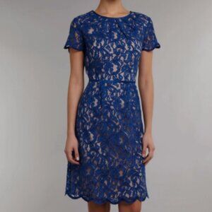 Adrianna Papell Scalloped Lace Dress